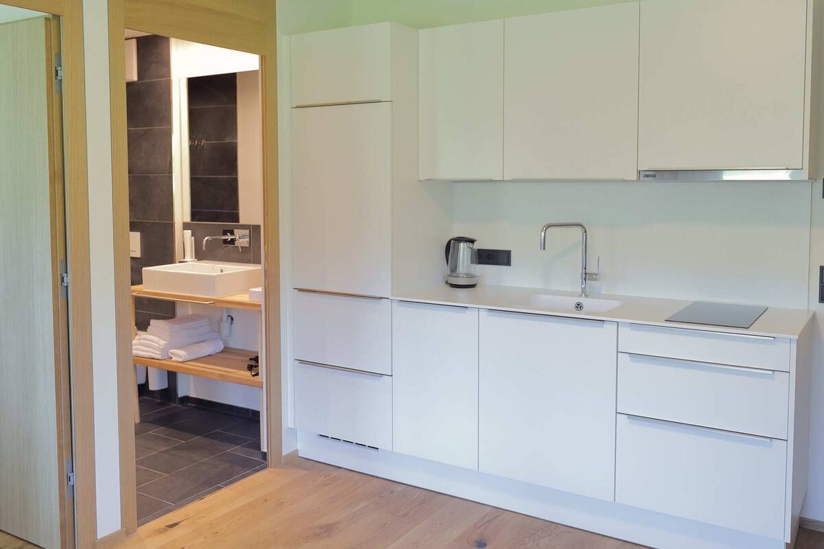 apartment, 1 bedroom, balcony, mountain view | 1 bedroom, hypo-allergenic bedding, desk, laptop workspace