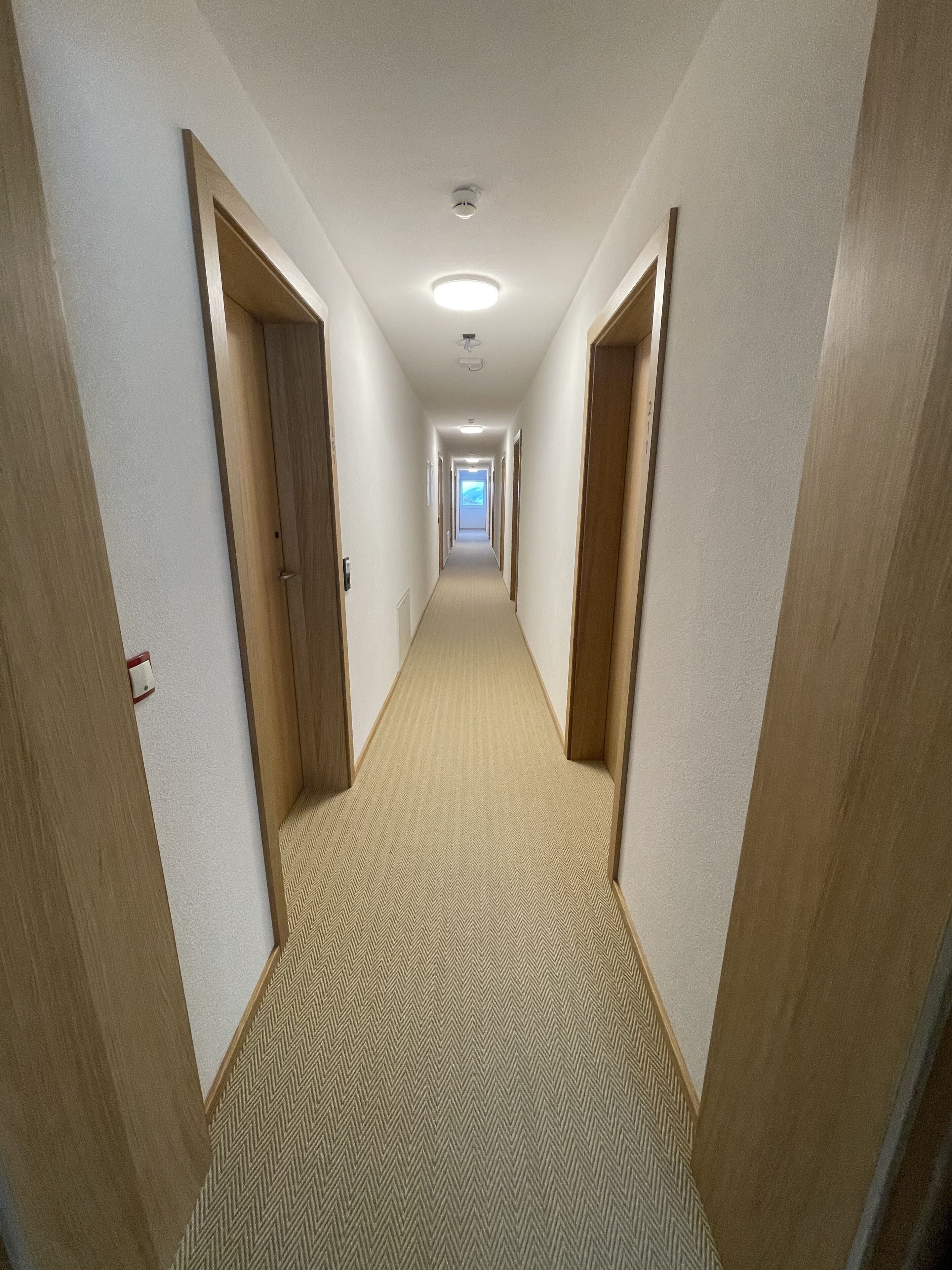 A narrow, carpeted hallway with wooden doors on both sides, leading to a bright room at the end.