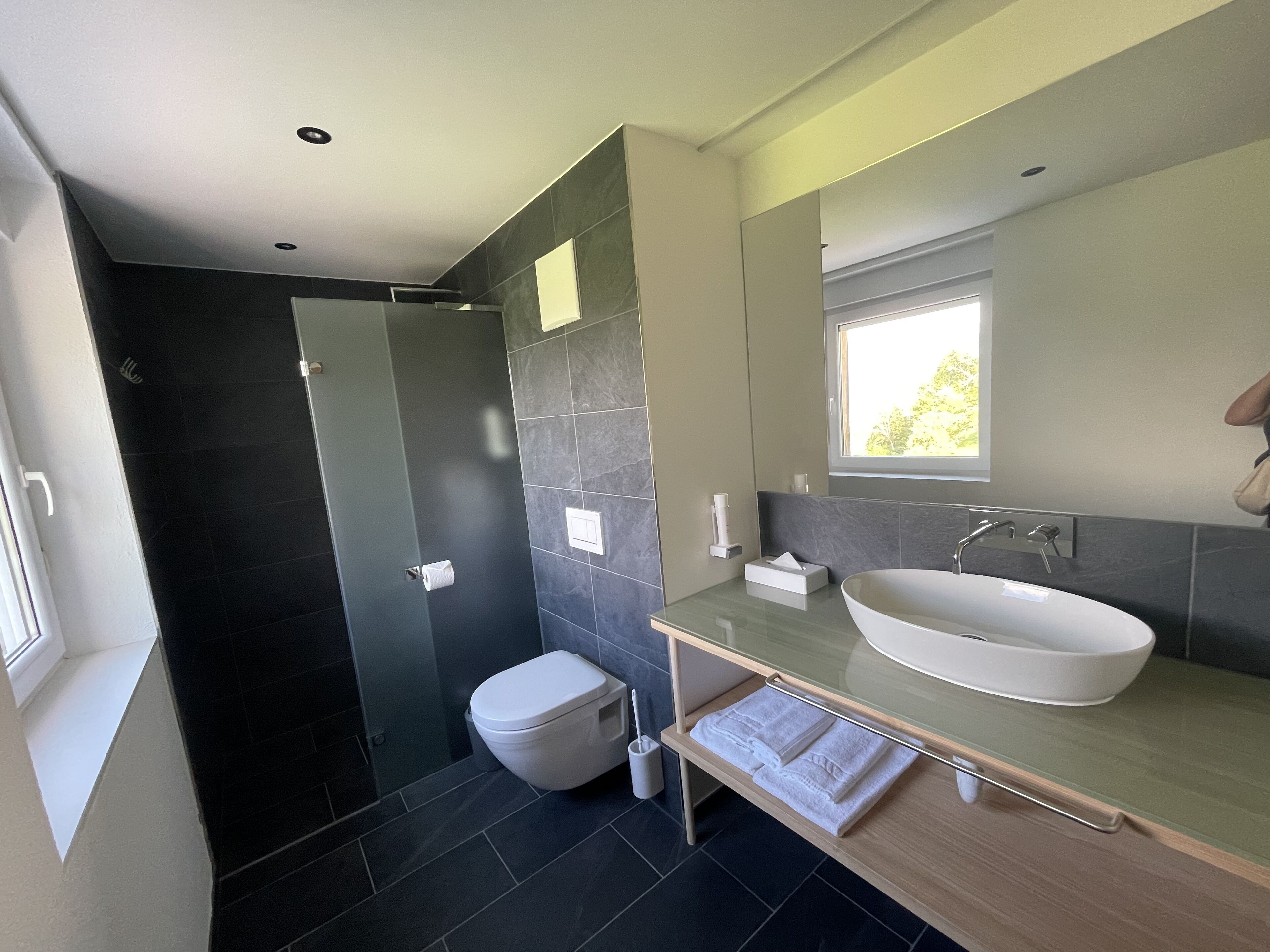 A modern bathroom with a large sink, a toilet, and a shower area.