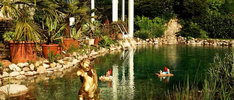 Outdoor pool, a natural pool