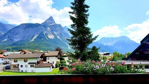 View from property - Alpin (Ehrwald)