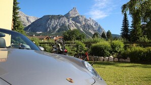 View from property - Alpin (Ehrwald)