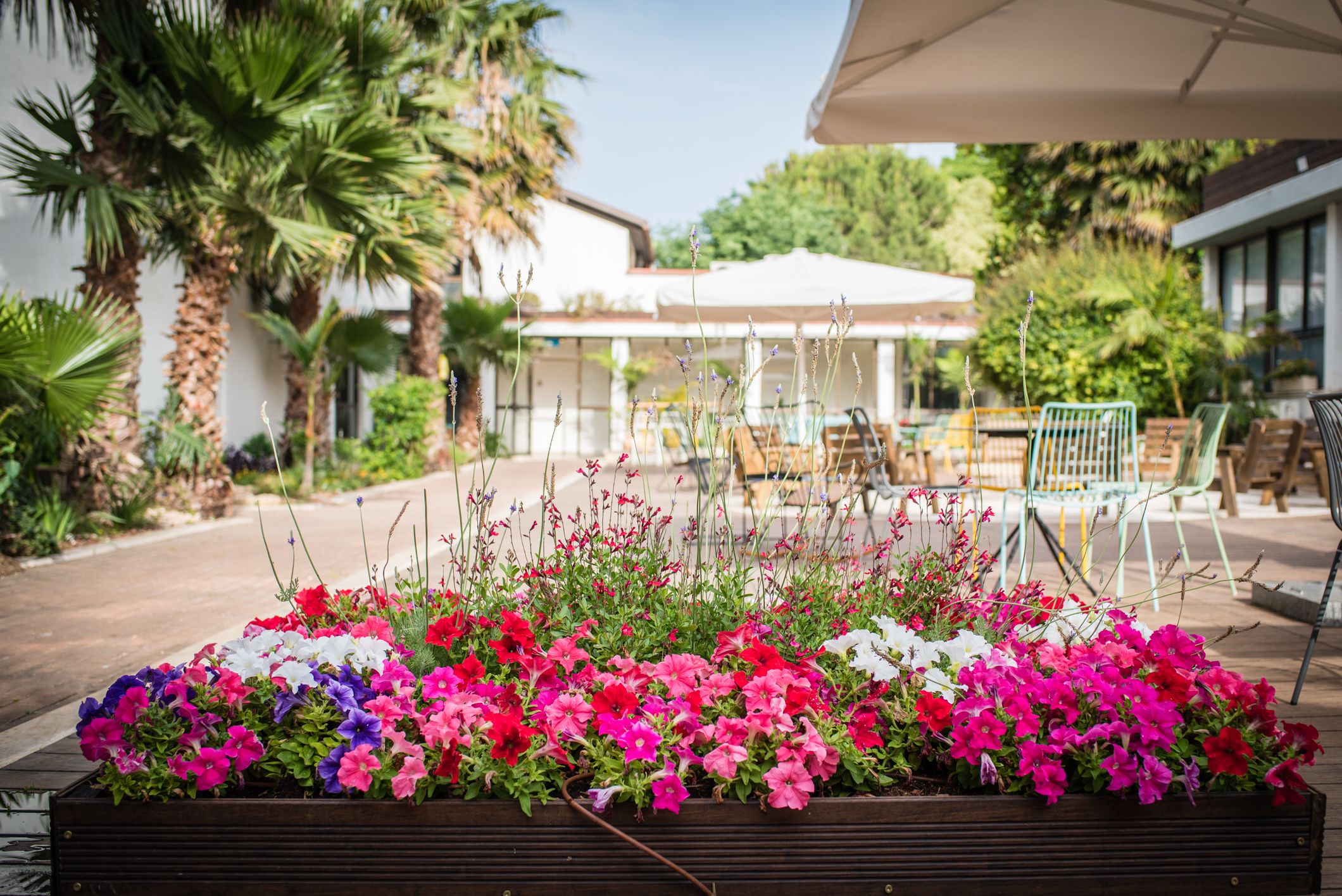 Un parterre fleuri, avec différentes variétés de fleurs aux couleurs vives, devant un bâtiment doté d’une terrasse.