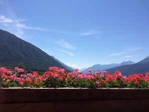 Uitzicht op de bergen