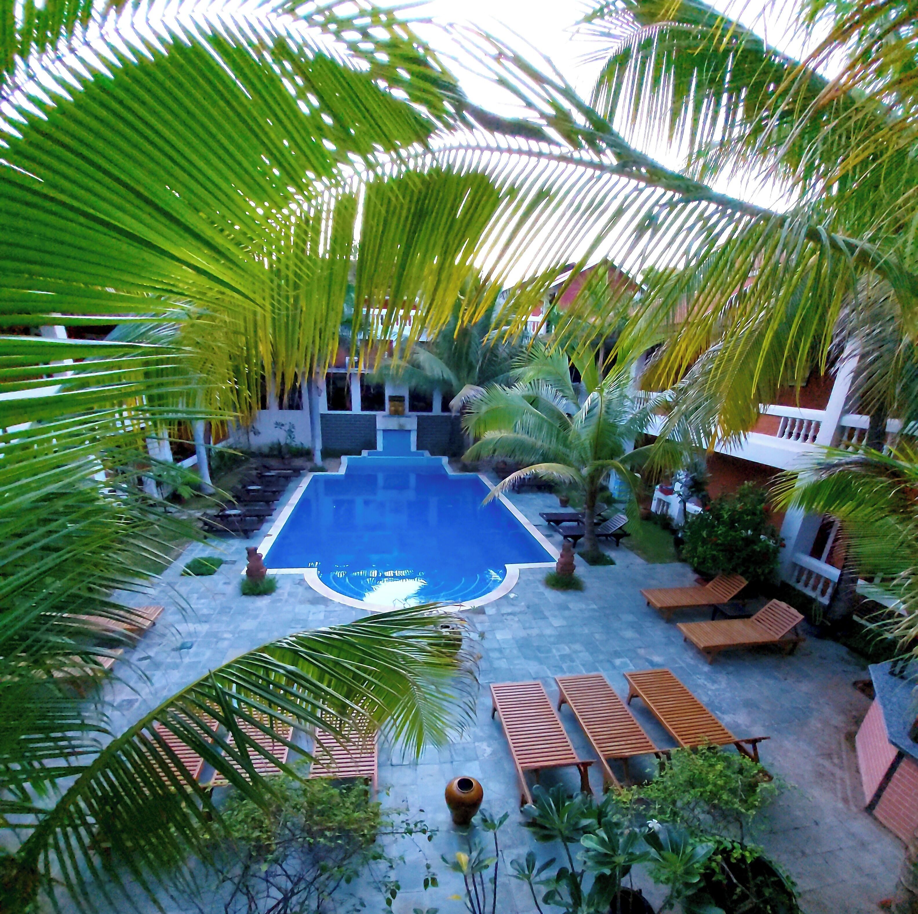 A pool surrounded by palm trees and wooden lounge chairs.
