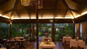 Un comedor interior con mesas y sillas, suelo de madera y vistas a zonas verdes.