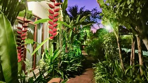Un sendero bordeado por exuberante vegetación tropical que conduce a un edificio con fachada blanca y detalles en rojo.