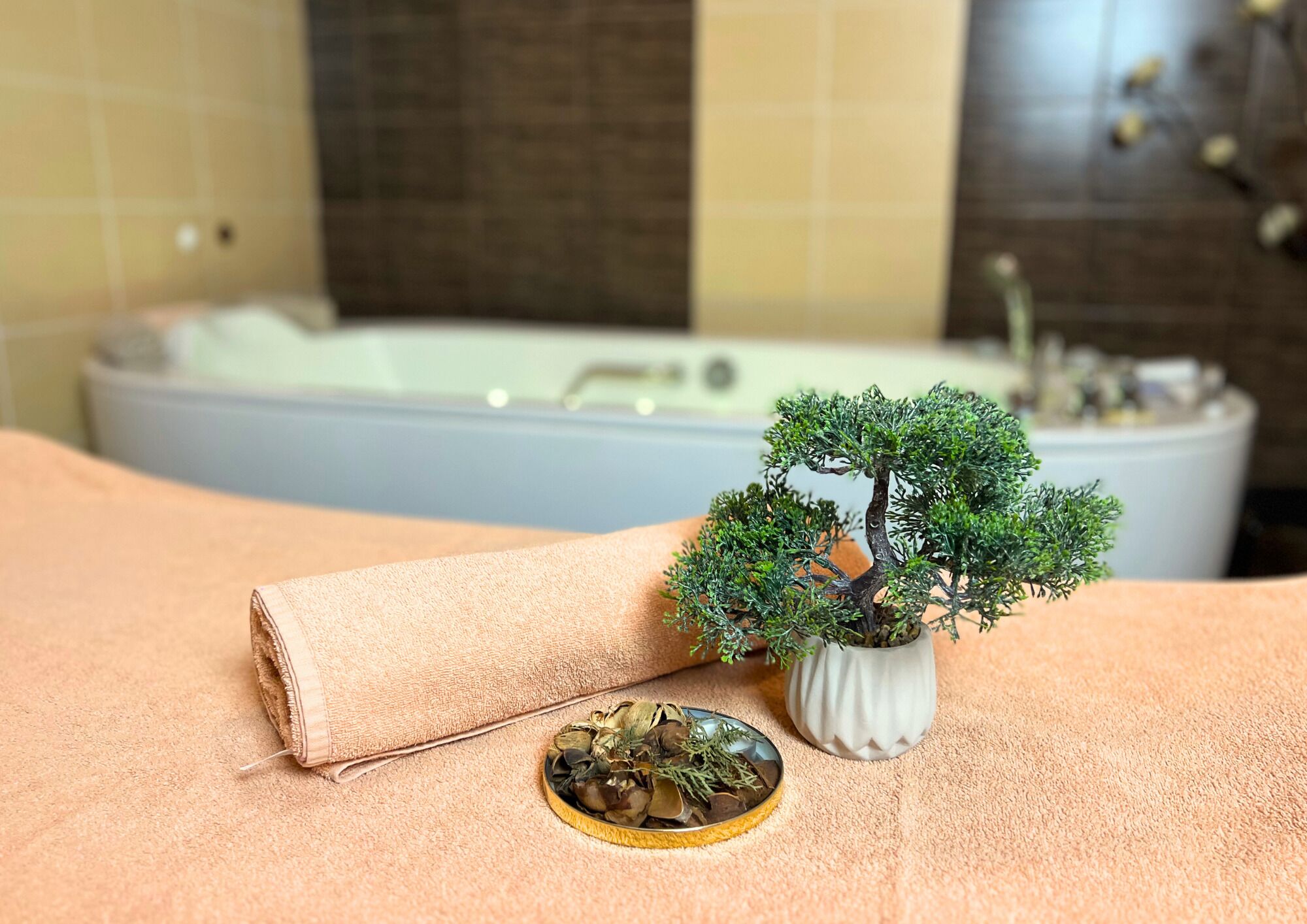 A spa area with a massage table, a small bonsai tree, a decorative tray, and a bathtub in the background.