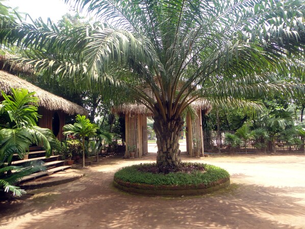 A palm tree in the center of a circular garden area with a thatched-roof structure to the left. - Golden Sunrise Hotel (Kyaikto)