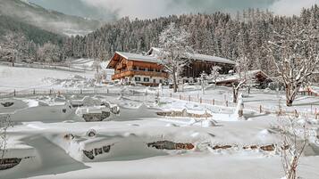 Romantisches Chalet, 4 Schlafzimmer, Sauna, Hanglage | Hochwertige Bettwaren, Daunenbettdecken, Minibar, Zimmersafe