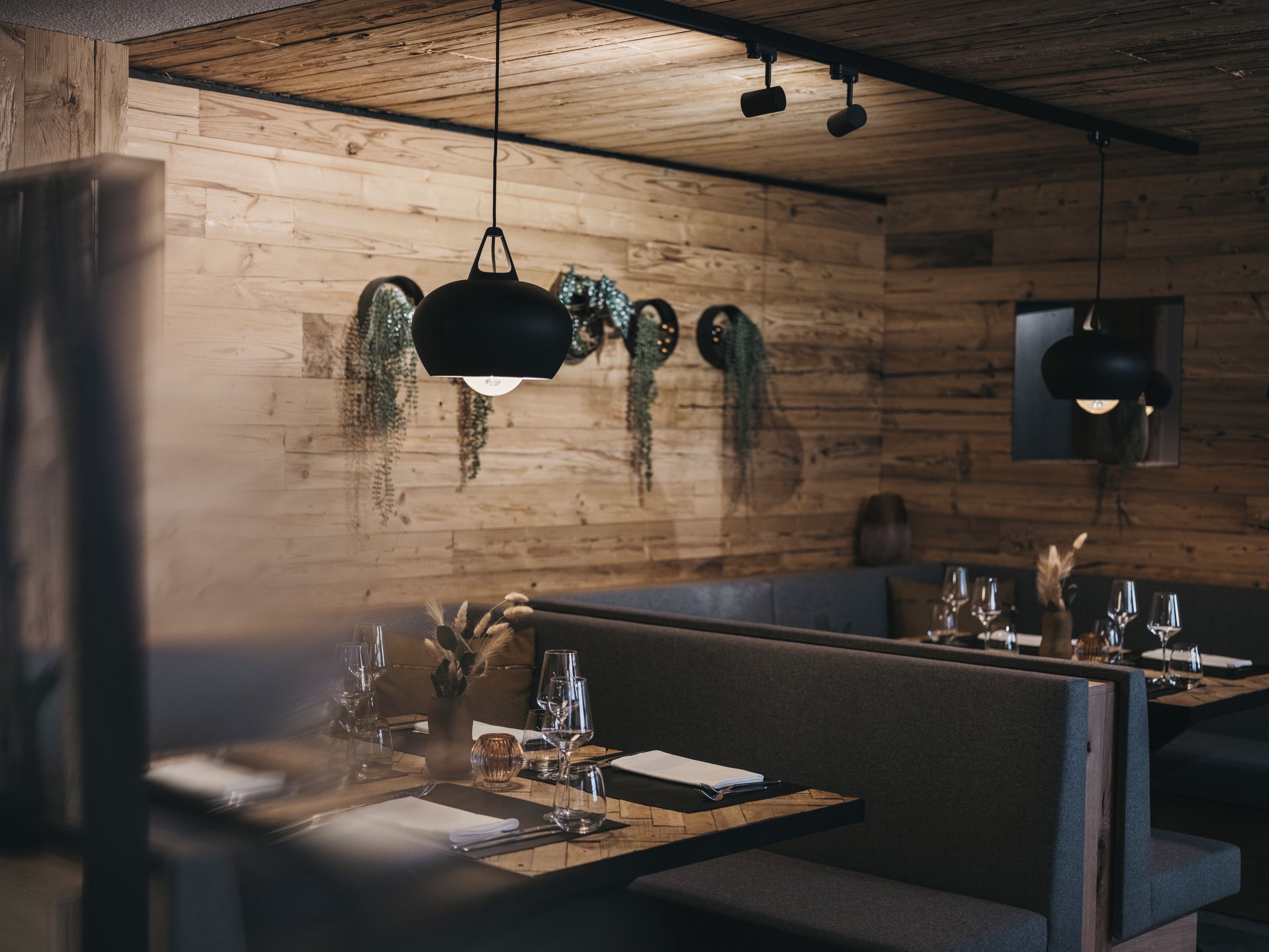 A restaurant interior with wooden walls, hanging plants, and a booth seating arrangement.