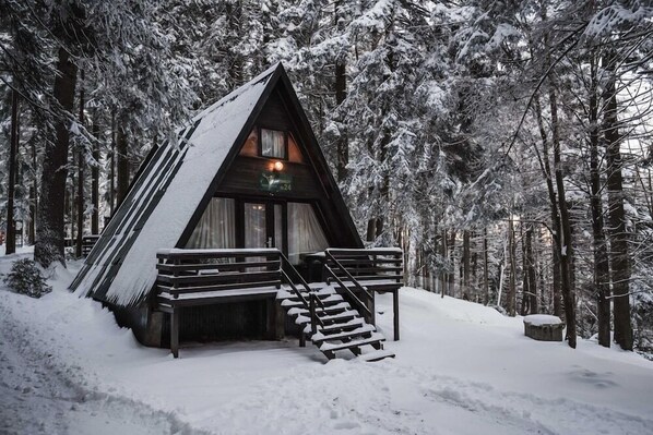 Exterior - Villa Yagoda (Samokov)