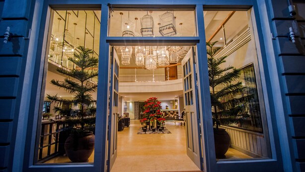 A hotel entrance with a grand chandelier, potted plants, and a Christmas tree. - Almont City Hotel (Butuan)