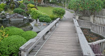 Sarangani Highlands Garden