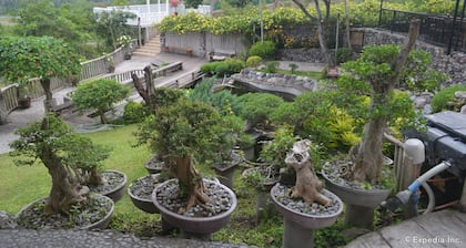 Sarangani Highlands Garden
