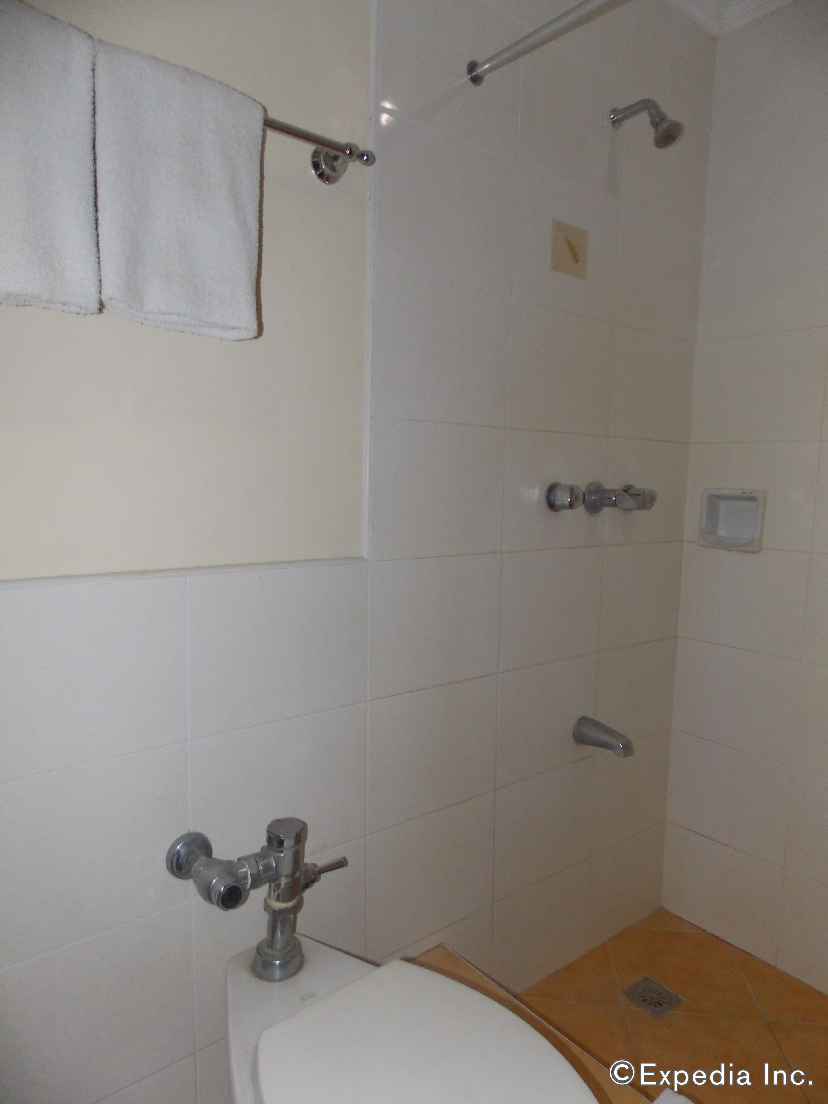 Un baño con inodoro, ducha y toallero.