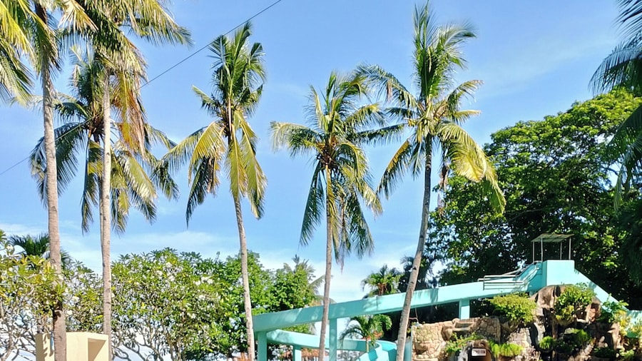 Palmas Del Mar Conference Resort Hotel