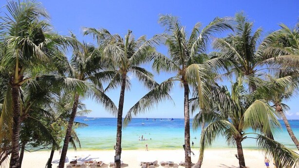 A beach with palm trees, a sandy shore, and a clear blue sea. - Bamboo Beach Resort and Restaurant (Balabag)