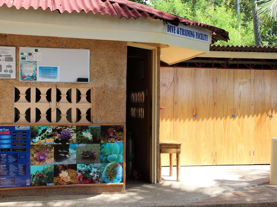 A dive and training facility with a wooden door, a bulletin board with marine life photos, and a small table outside.
