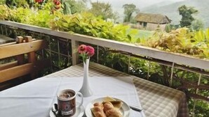 A table with a cup of coffee, a plate of pastries, and a vase of flowers on a balcony overlooking greenery and a distant house. - Vuglec Breg (Krapina)