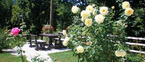 Un jardin avec un sentier menant à un banc et une table en bois, entourés d’une végétation luxuriante et de roses jaunes en fleurs.
