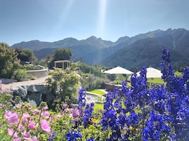 Jardín