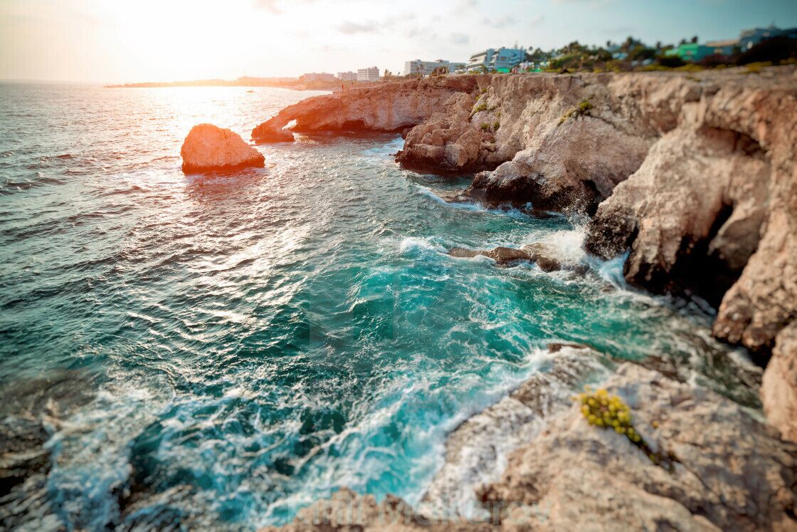 Foto - Margarita Napa Apartments