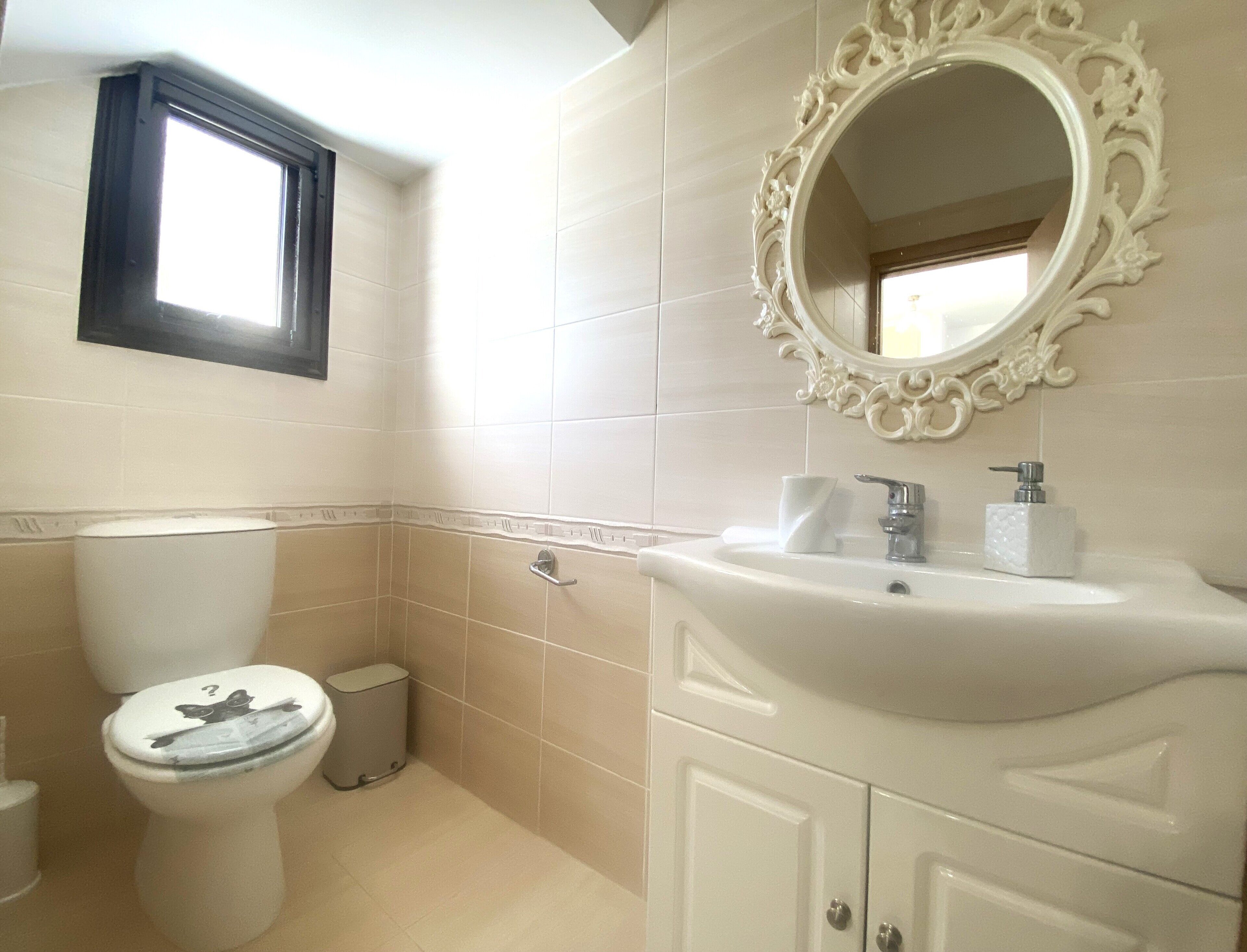 A bathroom with a toilet, sink, and mirror.