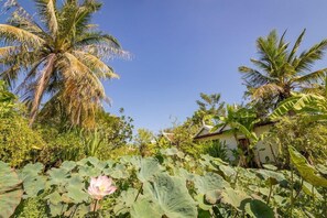 Property grounds - Sambor Village (Stueng Saen)