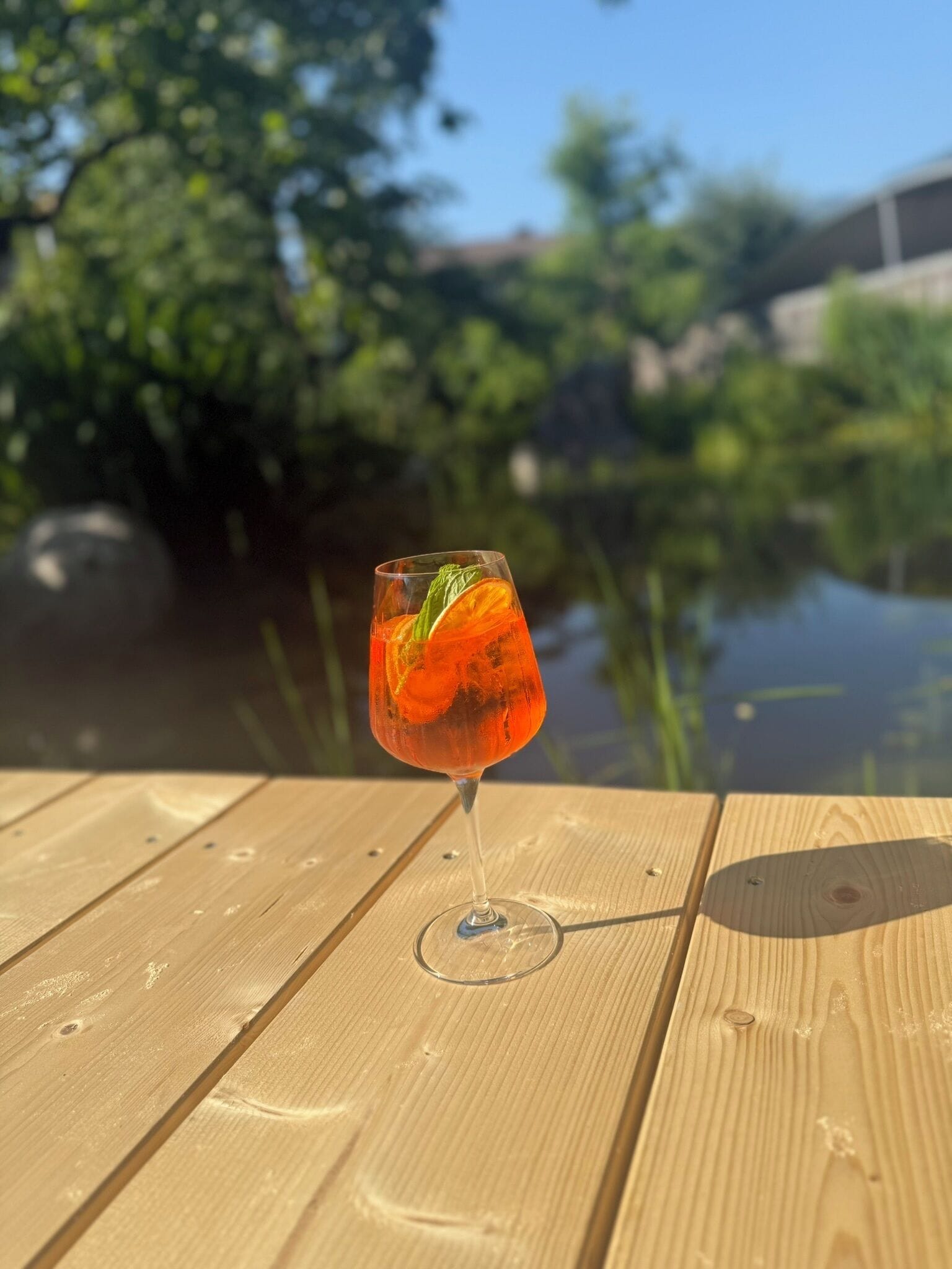 A glass of red drink with a mint garnish on a wooden table by a body of water.