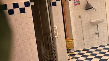 Sauna seca, sauna a vapor