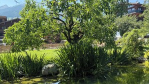 A serene pond with lush greenery and a large tree in the center. - Hotel Standlhof Zillertal (Uderns)