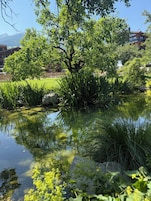 Jardín