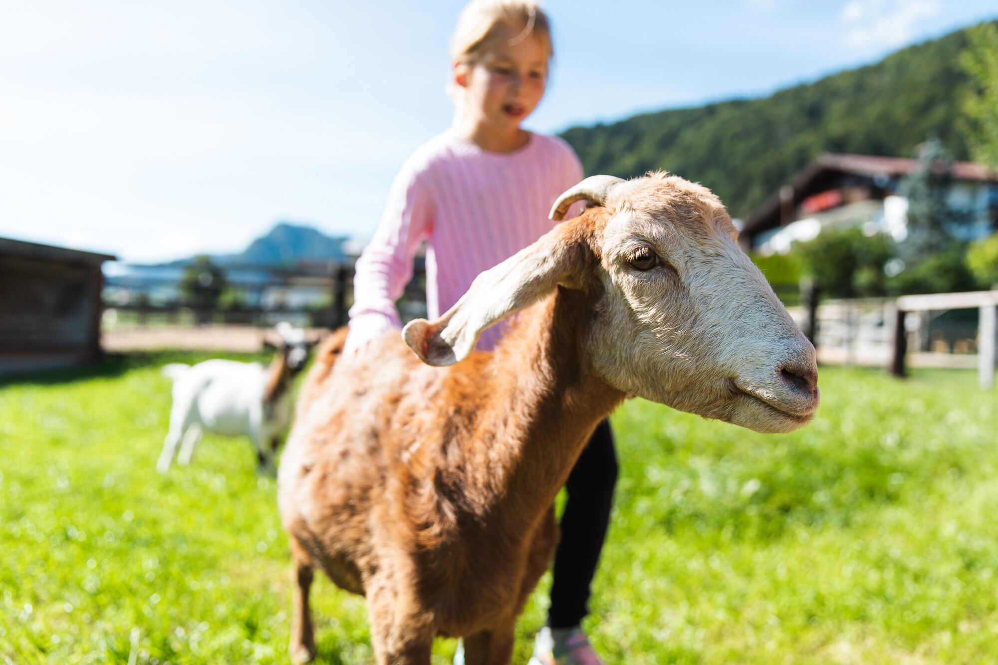 children’s activities