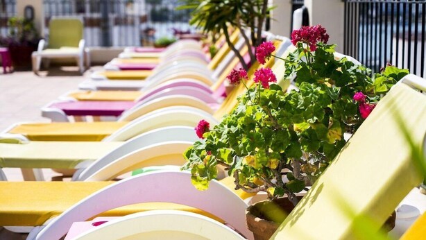 Fileira de espreguiçadeiras com plantas e flores em vasos, dispostas num terraço com vista.