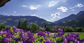 Eine Berglandschaft mit einer Kirche, grünen Feldern und violetten Blumen im Vordergrund.