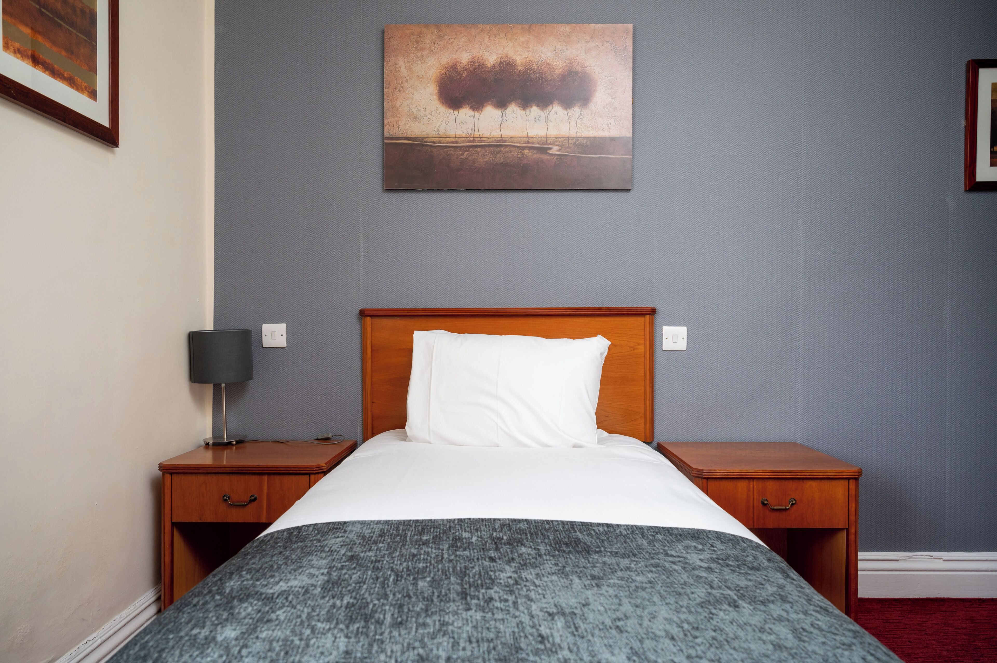 Single Room | Desk, iron/ironing board, free WiFi, bed sheets