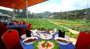 Internasjonale retter