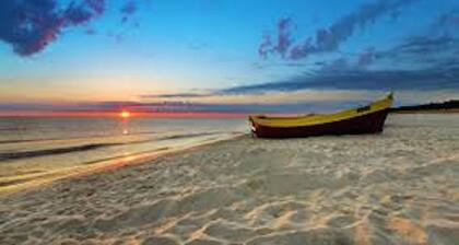 Palm Grove Holiday Inn