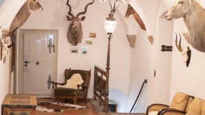 Ein Zimmer mit einer hohen, gewölbten Decke, einem Kronleuchter, einer Couch, einem Sessel, einem Teppich und verschiedenen an den Wänden aufgehängten Tierpräparaten.