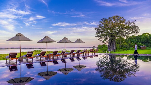 A poolside area with lounge chairs and umbrellas, a tree, and a clear sky. - EKHO Lake Polonnaruwa (Polonnaruwa)