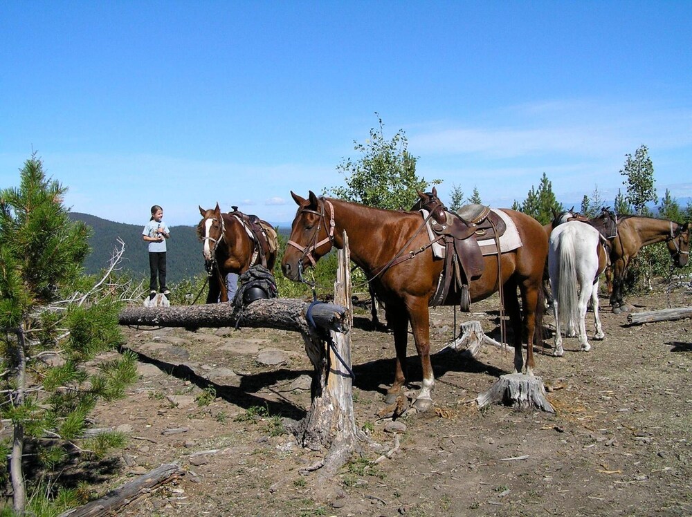 Ten-ee-ah Lodge Wilderness Resort by null
