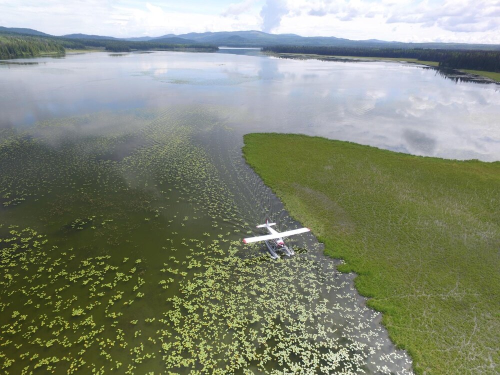 Ten-ee-ah Lodge Wilderness Resort by null