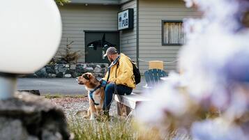 Una persona seduta su una panchina con un cane, di fronte a un edificio con un cartello che riporta “API PUB”.