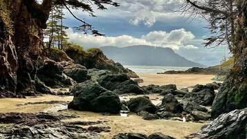 Beach nearby, black sand
