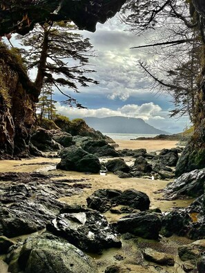 Beach nearby, black sand - Airport Inn (Port Hardy)
