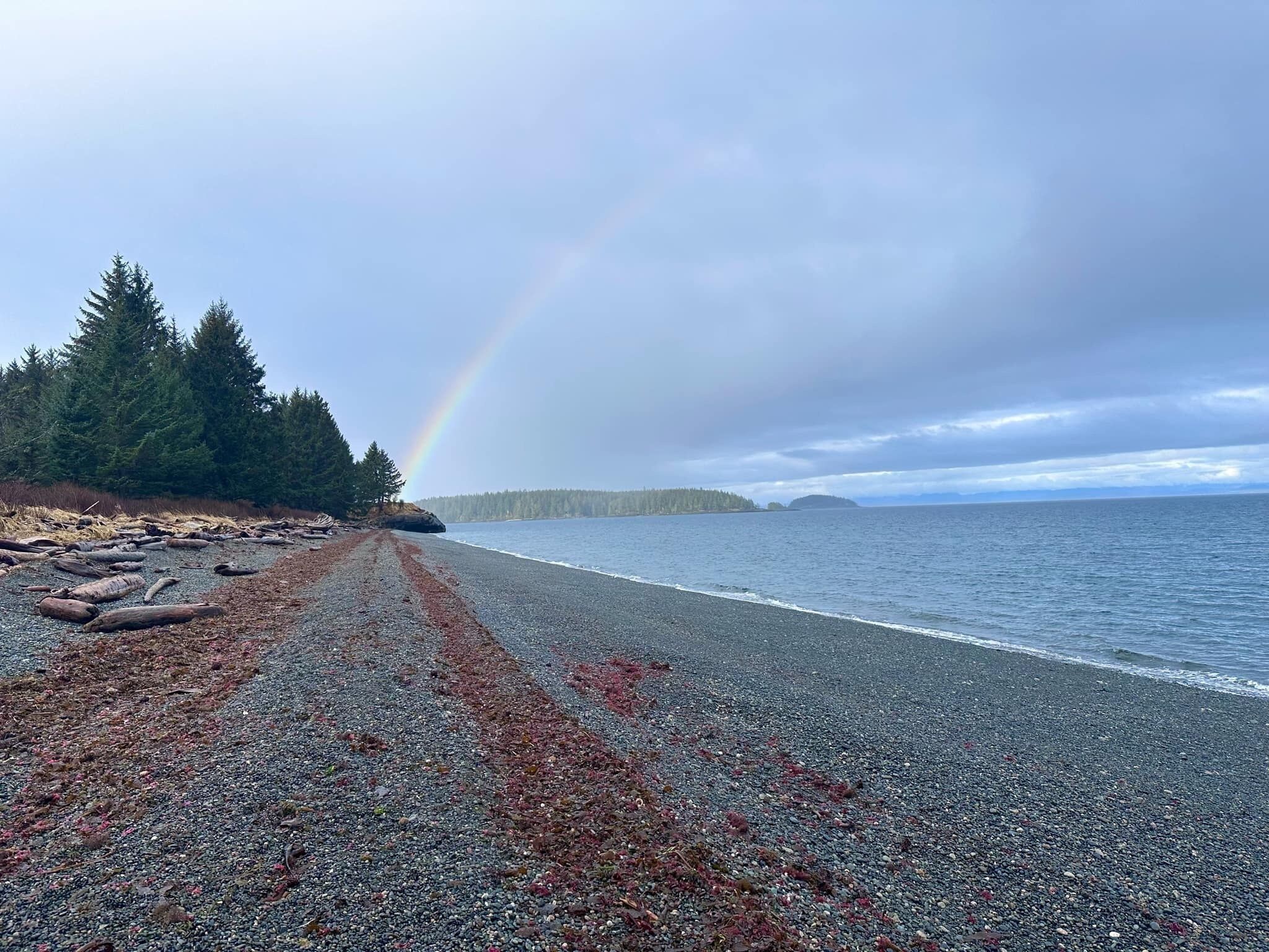 A gravel beach with a rainbow, trees, and a calm sea.
