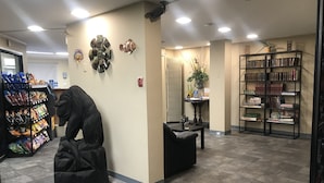 Zona de recepción con una estatua de león, una estantería y un expositor de aperitivos.