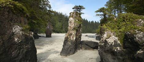Beach nearby, black sand