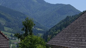 View from property - Landgasthof Kirchenwirt (Grossraming)